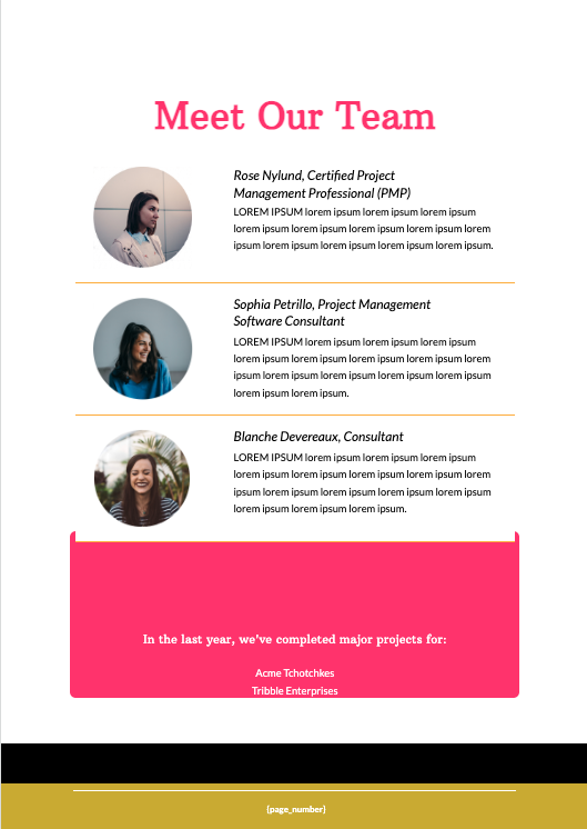 Project Management Proposal Template